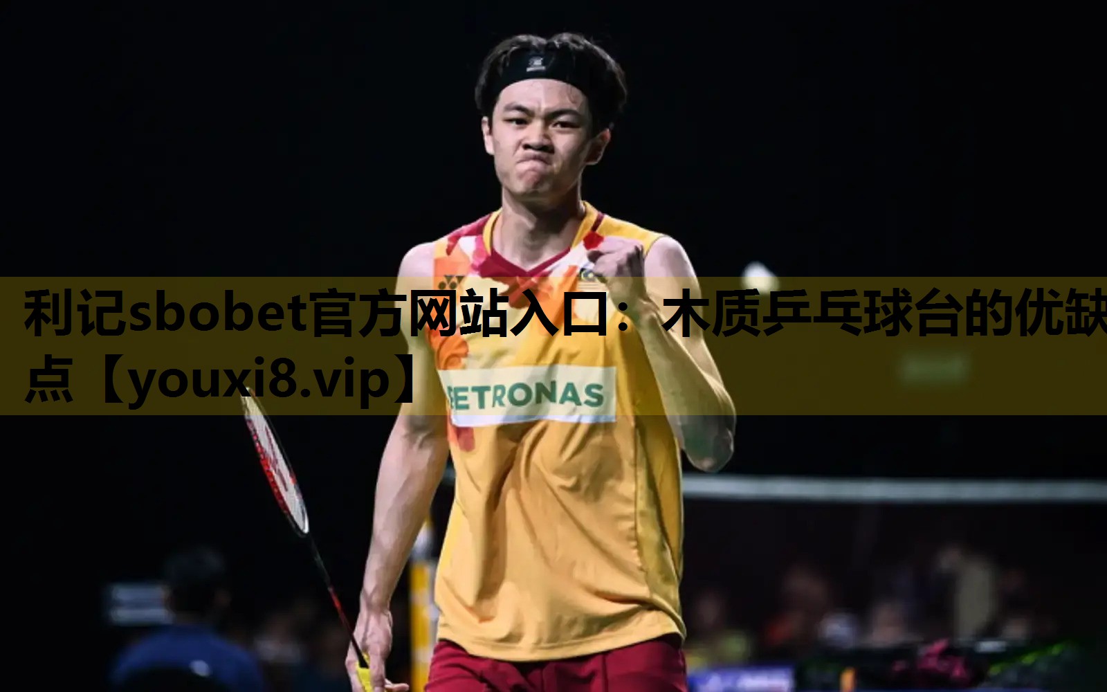 利記sbobet官方網站入口：木質乒乓球台的優缺點