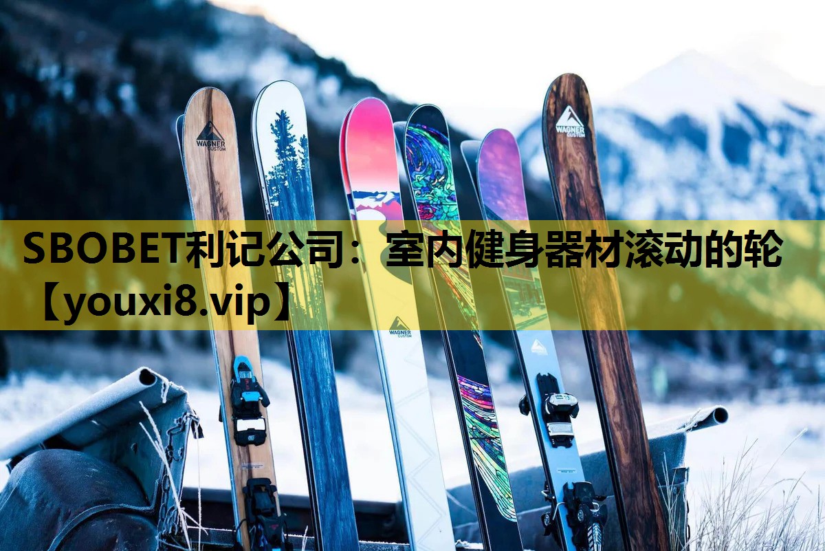 室內健身器材滾動的輪