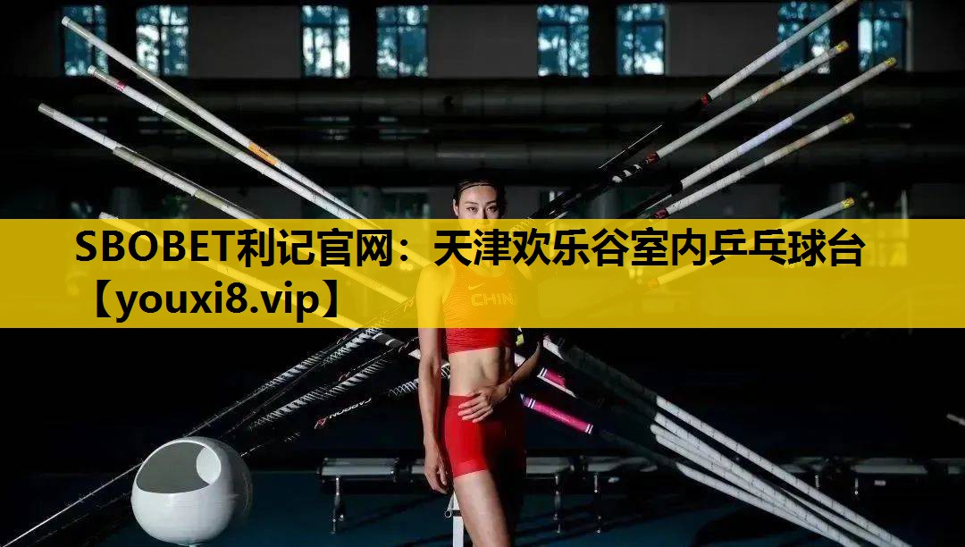 天津歡樂穀室內乒乓球台