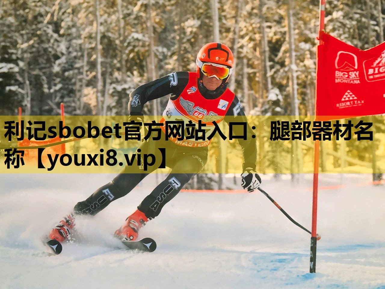 腿部器材名稱